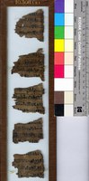 Oracular Amuletic Decree L3 (Papyrus London BM EA 10308)