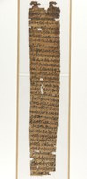 Oracular Amuletic Decree P2 (Papyrus Paris Louvre E 8083)