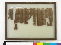Papyrus Ramesseum III