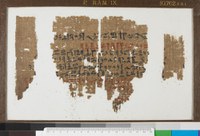 Papyrus Ramesseum IX