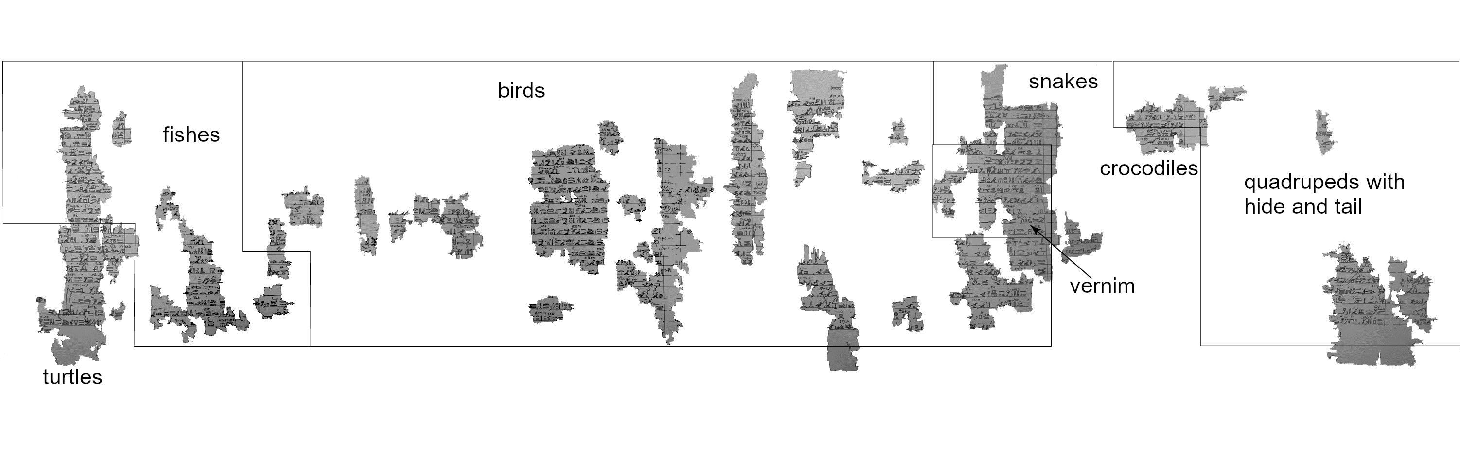 Tiergruppen im Tebtynis-Onomastikon - engl.