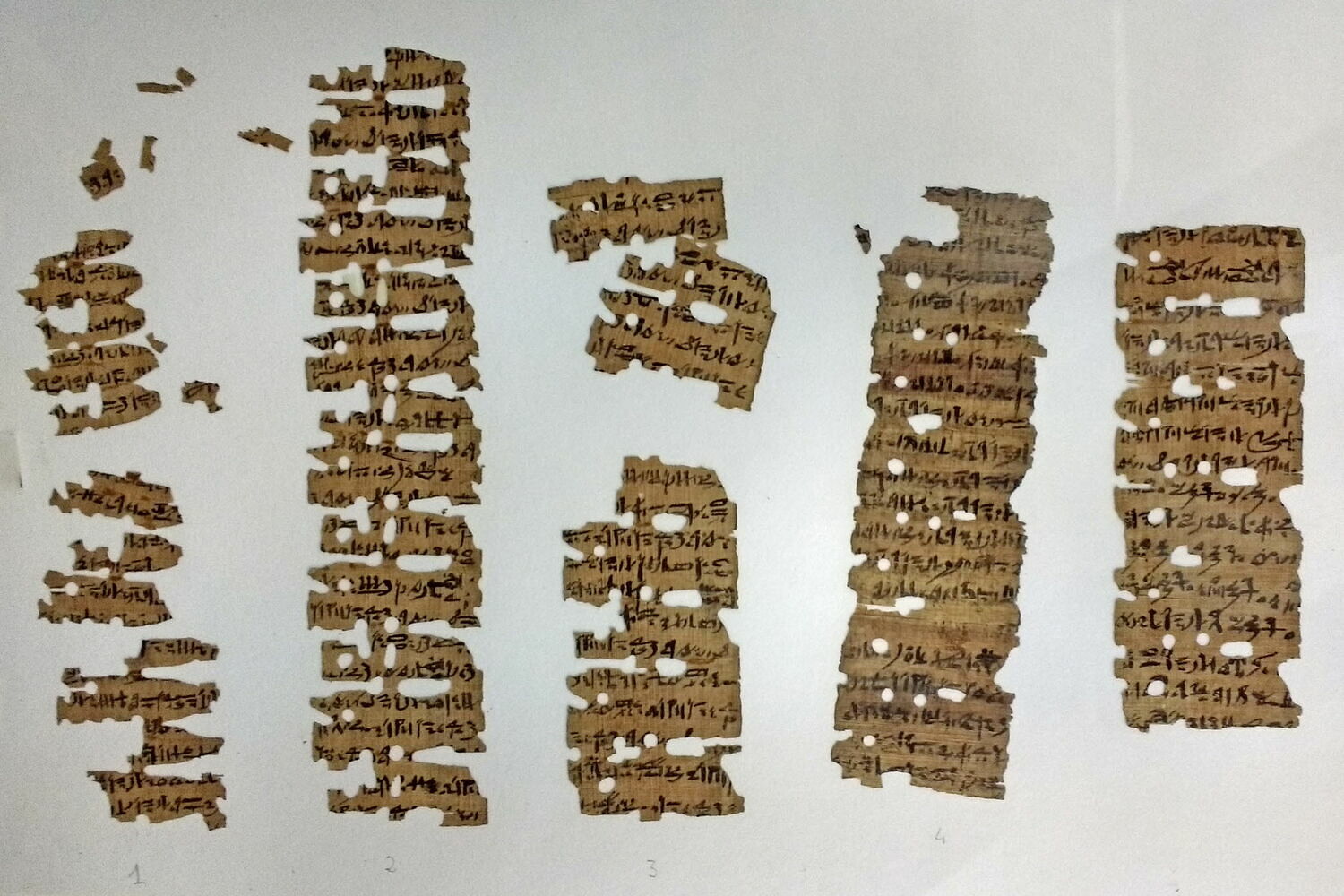 Oracular Amuletic Decree P3 (Papyrus Paris Louvre E 25354) — English