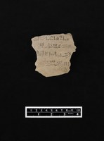 Ostracon ANAsh.Mus.H.O. 149