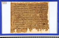 Papyrus Leiden I 346