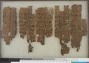 Papyrus Ramesseum C + XIX