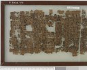 Papyrus Ramesseum VII
