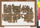 Papyrus Ramesseum VIII