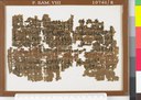 Papyrus Ramesseum XII