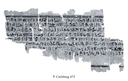 Papyrus Carlsberg 475